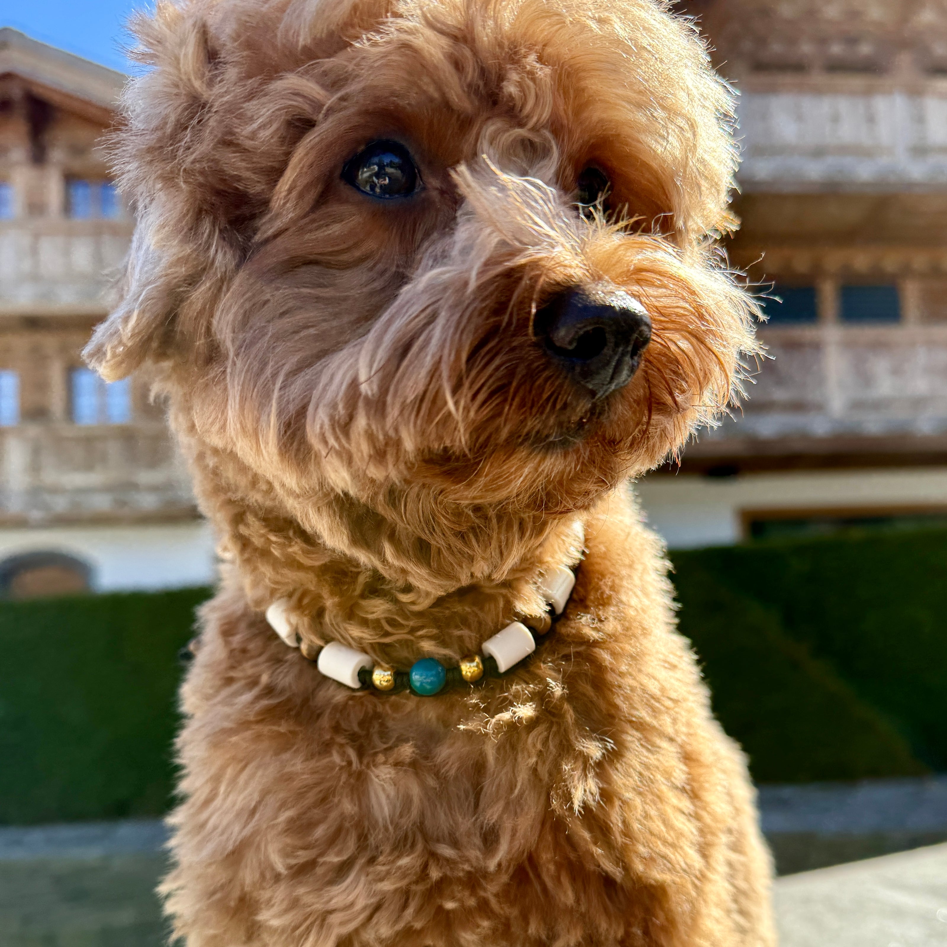 Azurite Chrysocolla EM Ceramic Collar