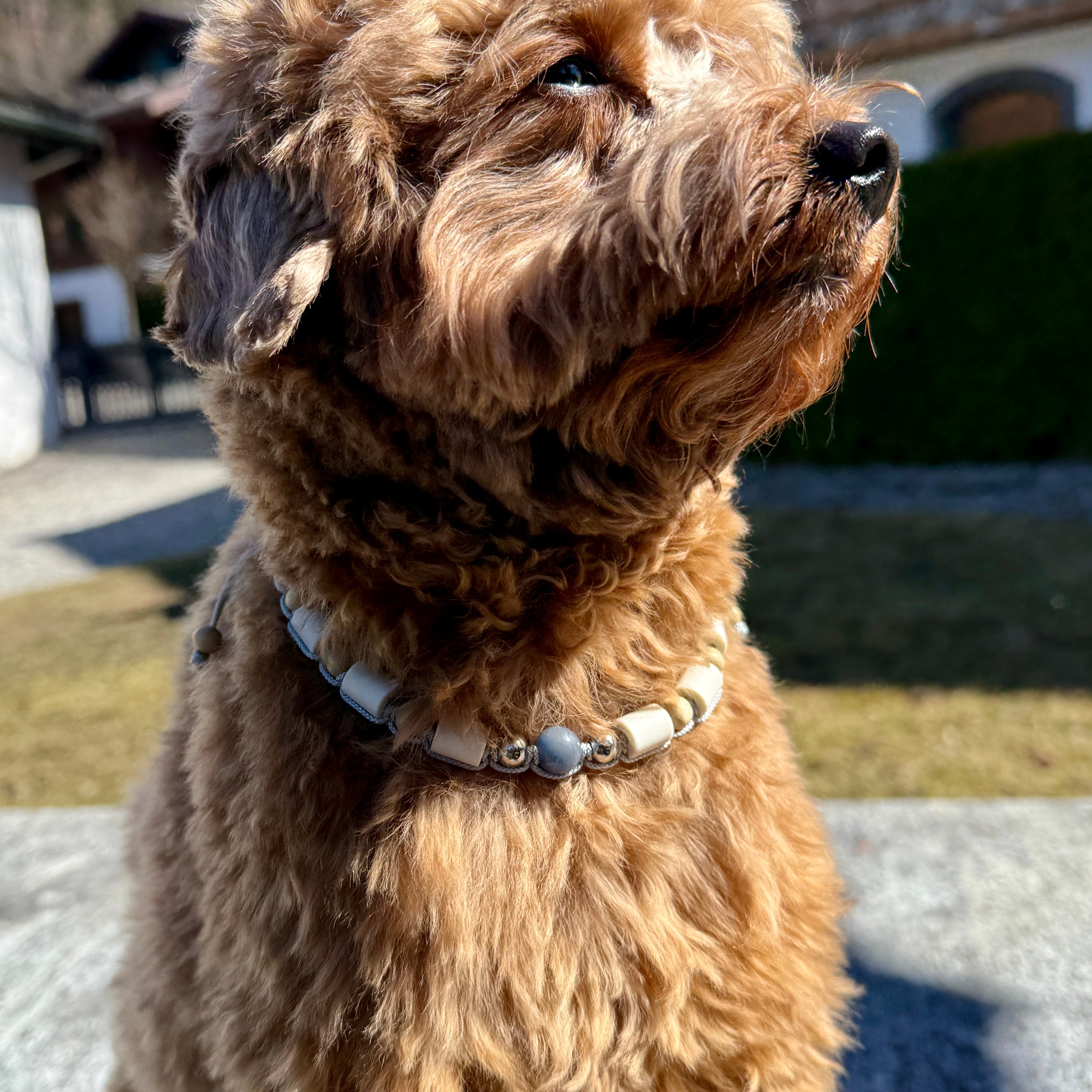 Blue Aventurine EM Ceramic Collar