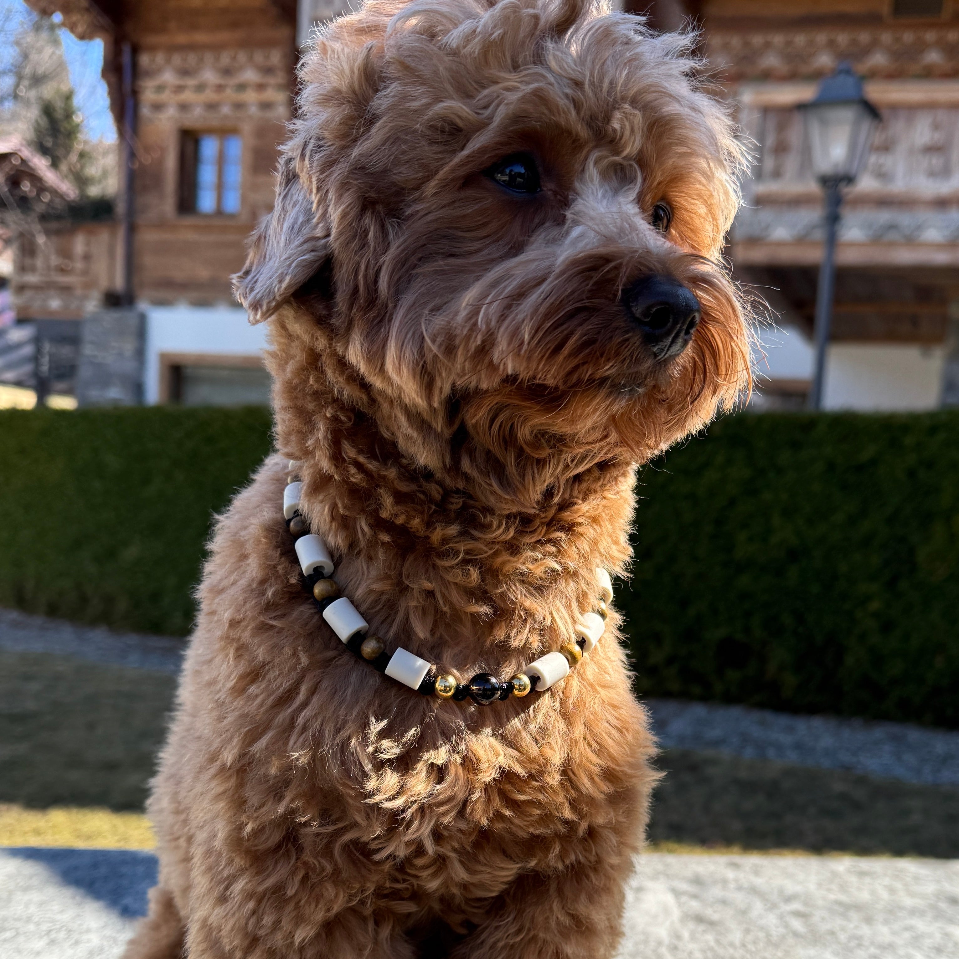 Smoky Quartz EM Ceramic Collar